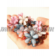 5 pieces mixed colored hair clip